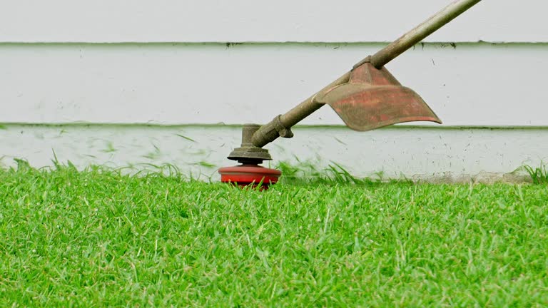 Best Utility Line Clearance  in Shawano, WI